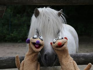 Unser Sandmaennchen