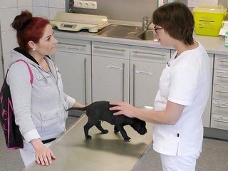 Hautnah: Die Tierklinik