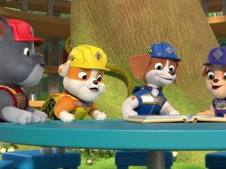 Rubble & Crew Rubble & Crew