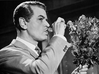 Mit Himbeergeist geht alles besser