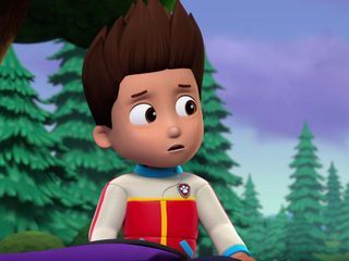 Paw Patrol - Helfer auf vier Pfoten