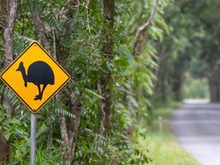 Queensland - Australiens Sonnenstaat