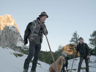 Wild auf Jagd im Gebirge