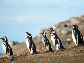 Bronx Zoo - Tierpark der Superlative