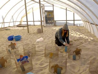 Mexikos Meeresparadies - Die Halbinsel Baja California