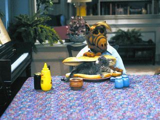 Alf