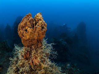 Verborgen im Mittelmeer: Vulkane unter Wasser