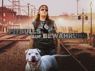 Pitbulls auf Bewaehrung