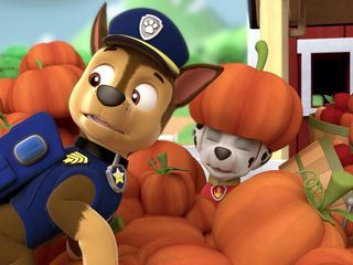 PAW Patrol - Helfer auf vier Pfoten PAW Patrol - Helfer auf vier Pfoten