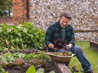 Jamie Oliver: Jahreszeiten