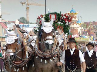 Aufgezaeumt und eingespannt - mit Rosserern aufs Oktoberfest