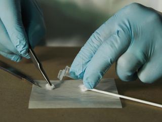 Medical Detectives - Geheimnisse der Gerichtsmedizin