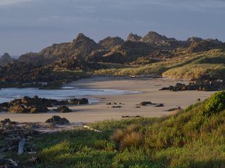 Tasmaniens wundersame Tierwelt