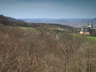 Zurueck zur Wildnis - Naturwaelder in Bayern