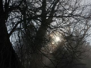 Bayerns Naturdenkmaeler