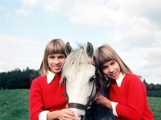 Die Zwillinge vom Immenhof