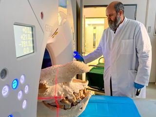 Das Mammut-Projekt Das Mammut-Projekt