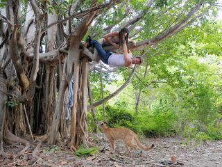 The Glades