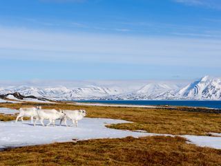 Wandel der Jahreszeiten