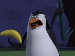 Die Pinguine aus Madagascar