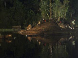 Rogue - Im falschen Revier