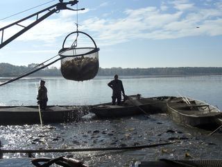 Boehmen - Land der hundert Teiche