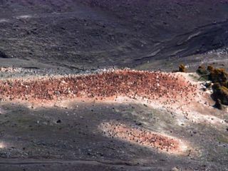 Mysterioese Phaenomene - Raetsel von oben