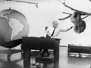 Grzimeks Vermaechtnis