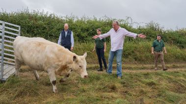 Clarksons farm