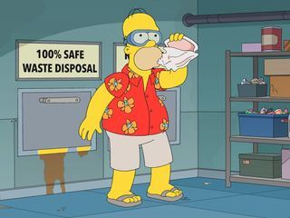 Die Simpsons