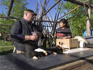 Yukon Men - Überleben in Alaska