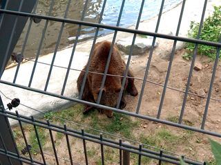 Lebenslang hinter Gittern? - Zoos auf dem Pruefstand