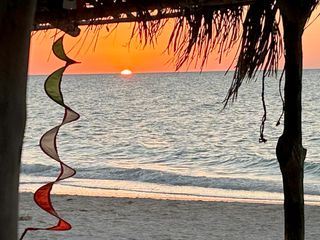 Mit dem Zug durch Yucatán