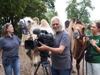 Erlebnis Österreich