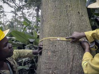Naturparadiese mit Zukunft