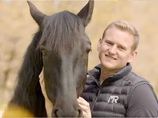 Die Pferdeprofis Die Pferdeprofis