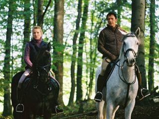 Hengstparade Hengstparade