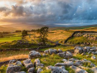 Yorkshire: Ein Jahr in der Wildnis