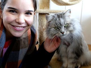 Anna und die Haustiere