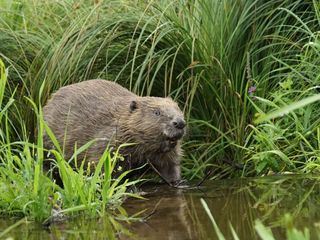Unter unserem Himmel