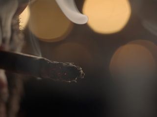 Taeterjagd in Spanien