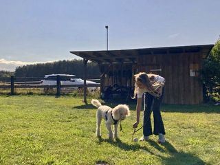 Liebste Fellnasen - Abenteuer Hundeschule