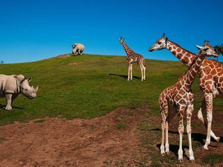 San Diego Zoo