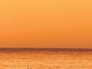 Geister der Wueste - Namibias Wuestenloewen