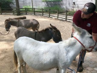 WILDER WILDER WESTEN