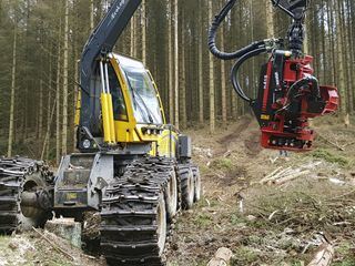 Wie geht das? Heizen mit Holz