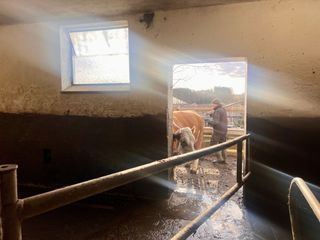 Unter unserem Himmel