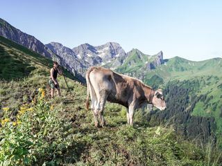 Almgeschichten aus Vorarlberg
