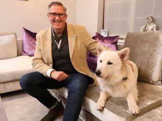 Hunde ausser Kontrolle