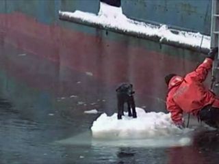 Tiere ausser Rand und Band Tiere ausser Rand und Band